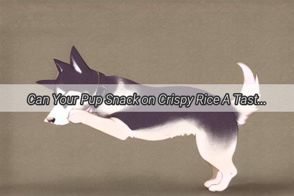 Can Your Pup Snack on Crispy Rice A Tasty Adventure for Dog Lovers